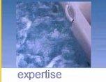 Expertise